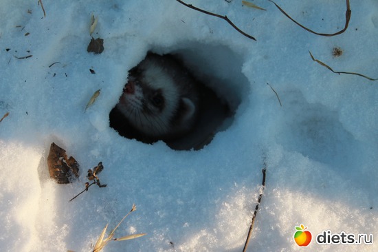 21 ����: ��� ��������