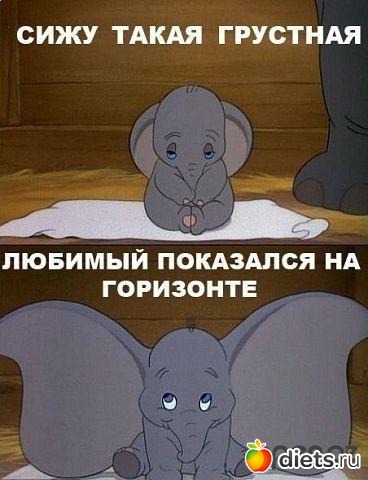 ����� �������