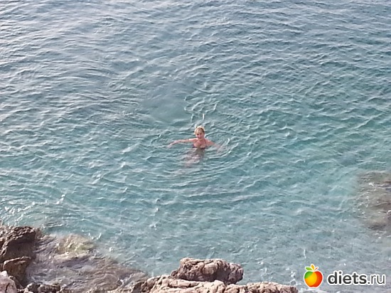 1 ����: ����-������ ����� ���