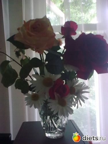 1 ����: karishka