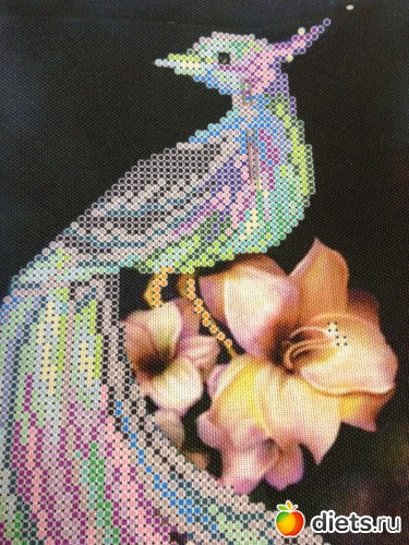 5 ����: ������� �������