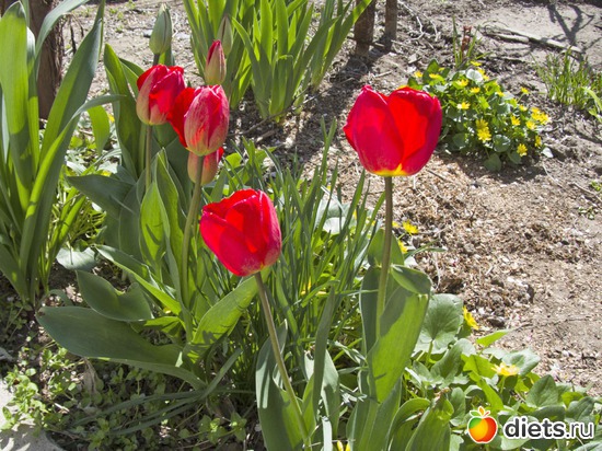 12 ����: �����-����-����� 2013 - 2015