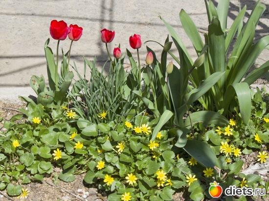 13 ����: �����-����-����� 2013 - 2015