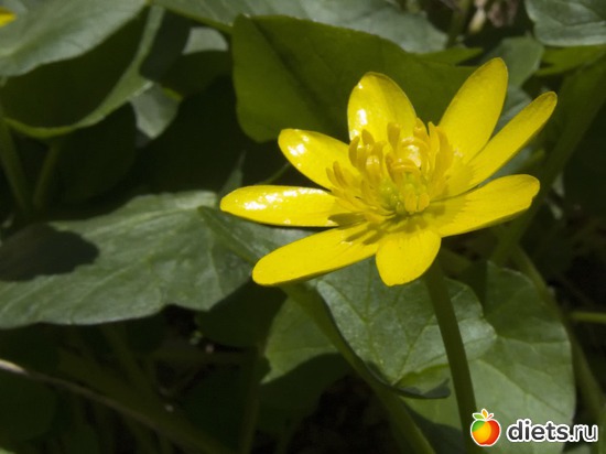 14 ����: �����-����-����� 2013 - 2015