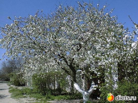 18 ����: �����-����-����� 2013 - 2015