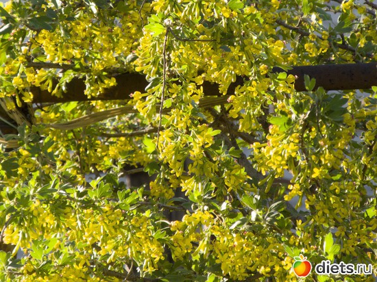 19 ����: �����-����-����� 2013 - 2015