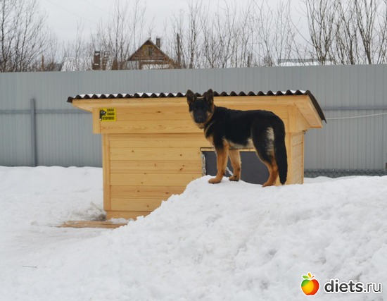 �����- ������� ������������� �����, ������: ��� ������� ��������