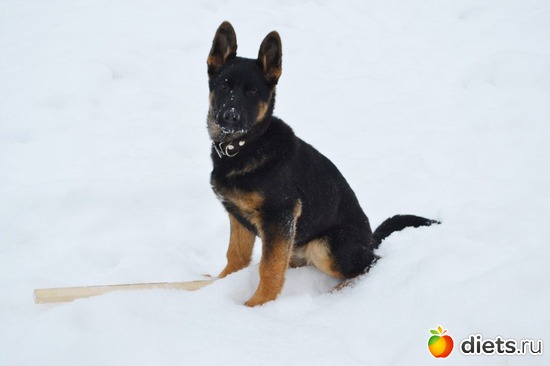 �� ������ � ������, ������: ��� ������� ��������