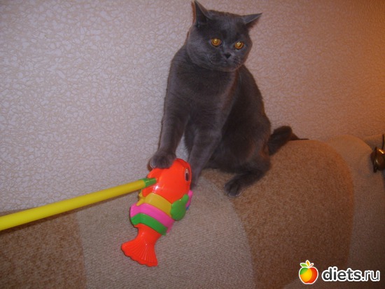 �� ������ � ���� ����.. ����� �� ����� ����, ������: ��� ������� ��������