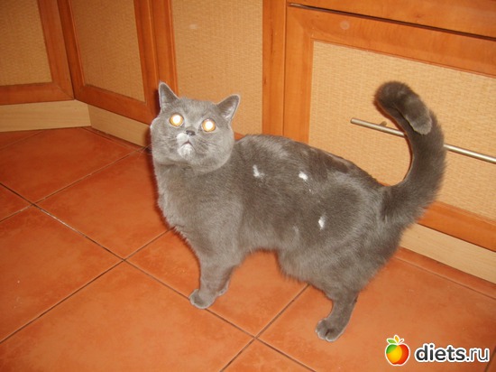 ��� ���� ����� ? �???? �� �� �����...., ������: ��� ������� ��������