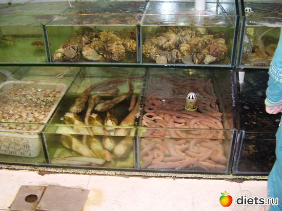 5 фото: О жизни