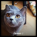 Моя мармышечка=))) Смотрю и умиляюсь!!!(многофото)