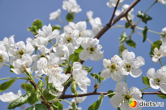 1 ����: ������ �����