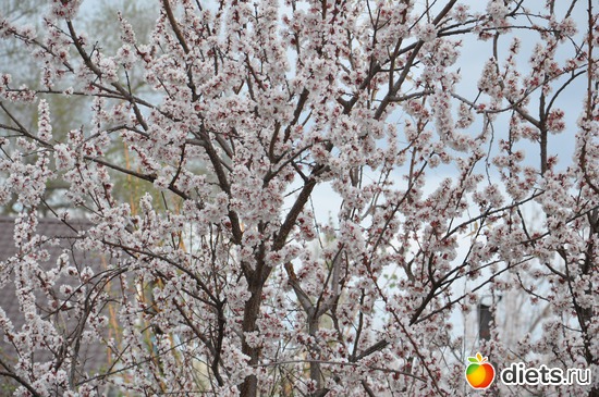 2 ����: ������ �����