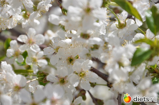 3 ����: ������ �����