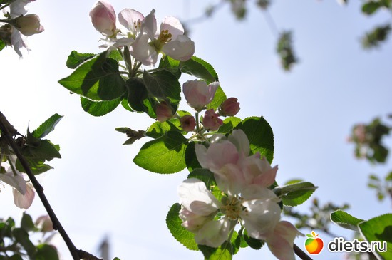 4 ����: ������ �����