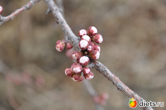 7 ����: ������ �����