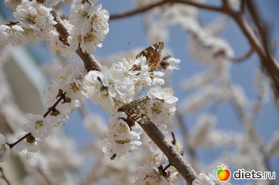 8 ����: ������ �����