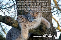 Для настроения