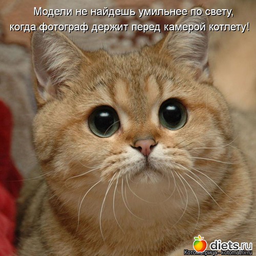 12 ����: ������