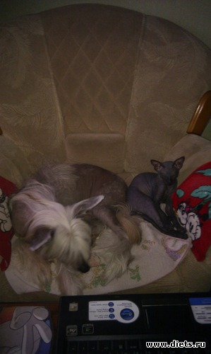 1 ����: ��� �������