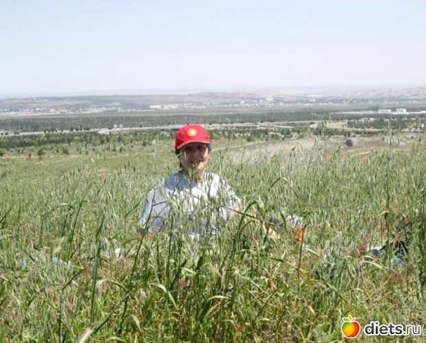 3 ����: ���������� ����� 2013