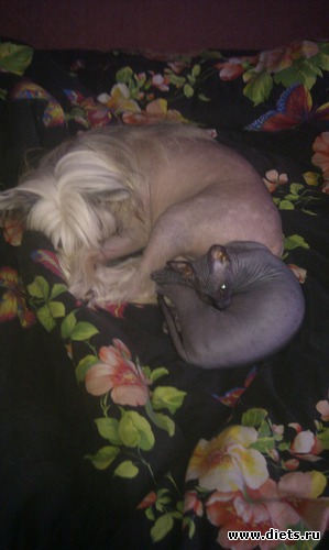 3 ����: ��� �������