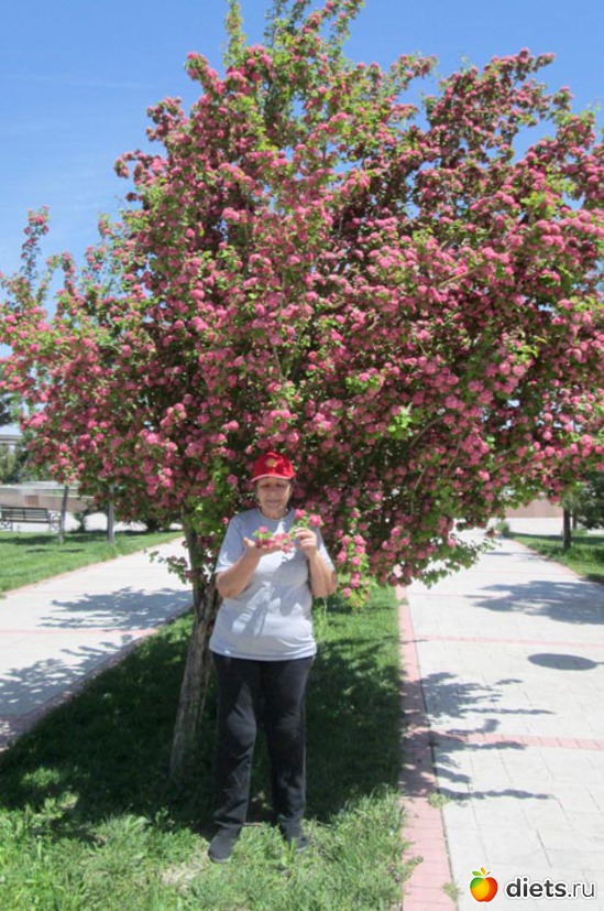 6 ����: ���������� ����� 2013