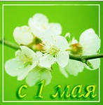Всех с наступающим 1 Мая!