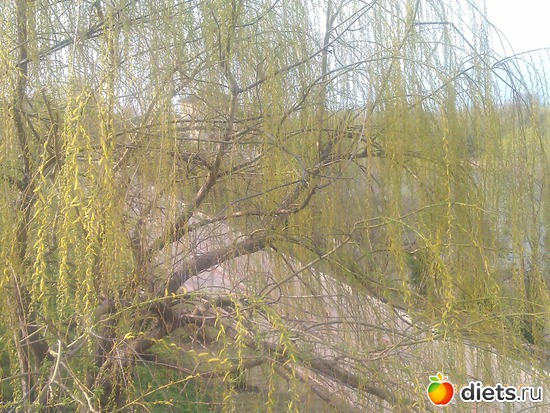 3 ����: �������� �� �������.