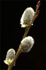 ������� �����������. � ����������!