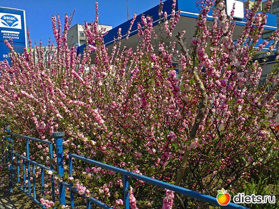 20 ����: �����-����-����� 2013 - 2015