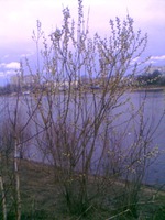 Вербная Тверь - отчет о командировке :)