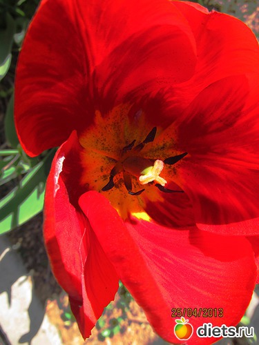 21 ����: �����-����-����� 2013 - 2015