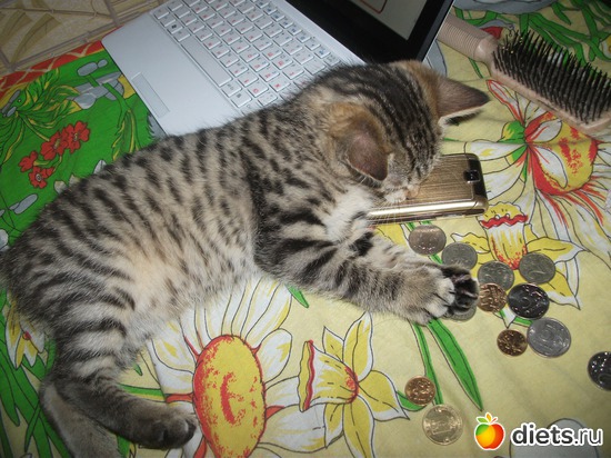 Василий, альбом: Мурва и её семья