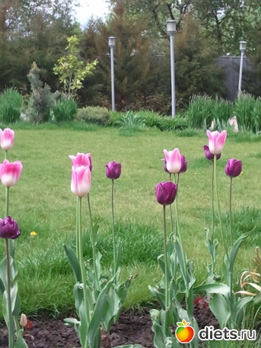 1 ����: �����