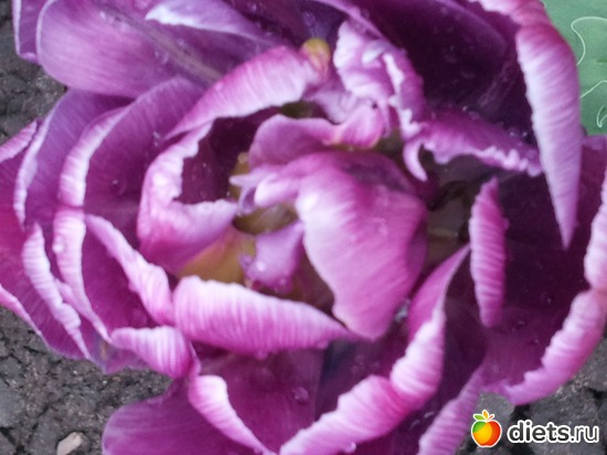 2 ����: �����