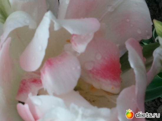 3 ����: �����