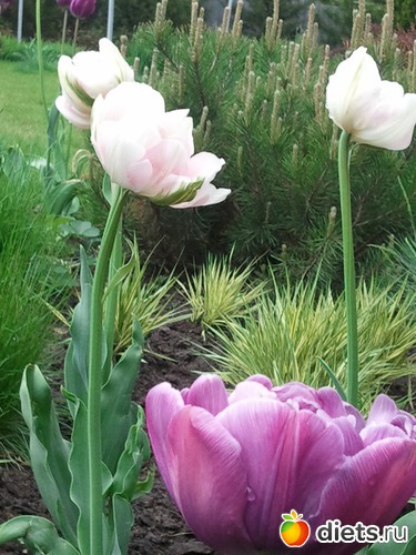 5 ����: �����