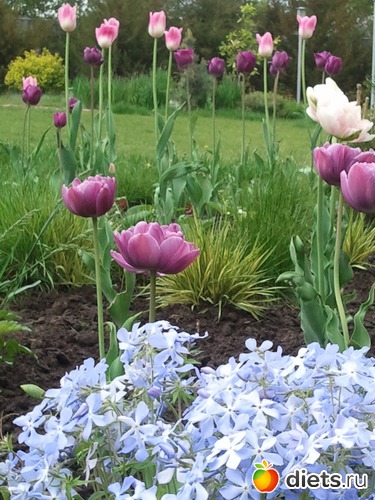 6 ����: �����