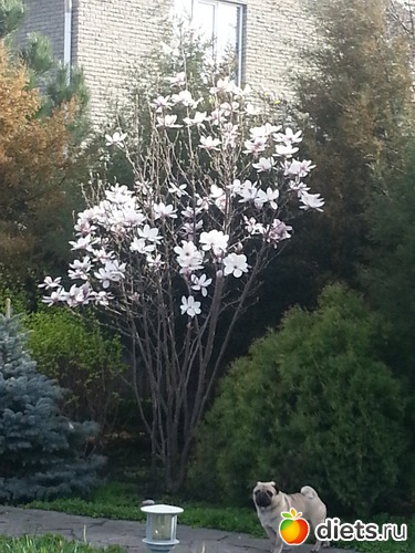 7 ����: �����