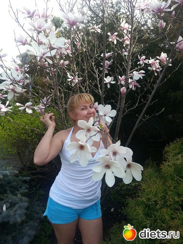 8 ����: �����