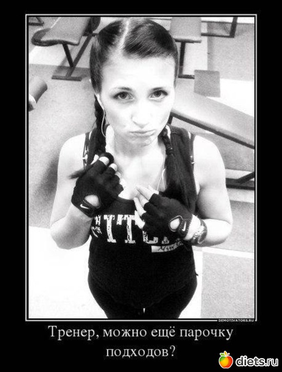 ������, ����� ��� ������� ��������?, ������: �������� ��������