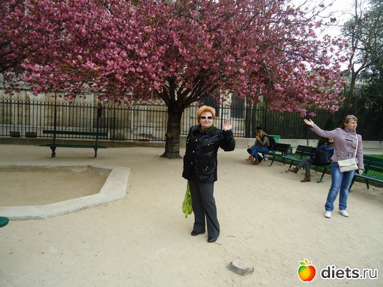 цветет сакура в Париже, альбом: фото со мной