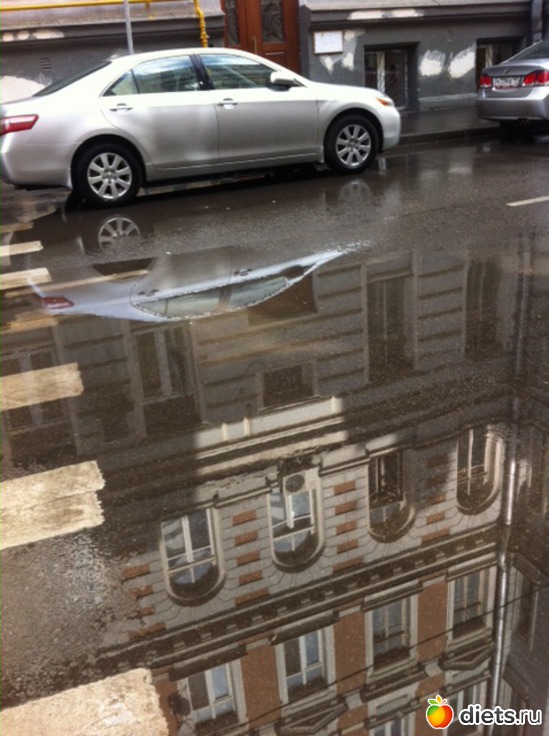 10 ����: �������� �� ������