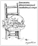 Обязанности кошки в доме