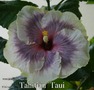 042 - Tahitian Taui