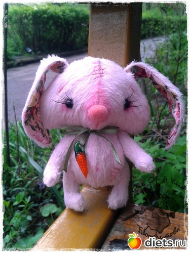 3 ����: ��� ���������