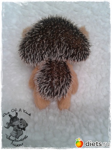 6 ����: ��� ���������