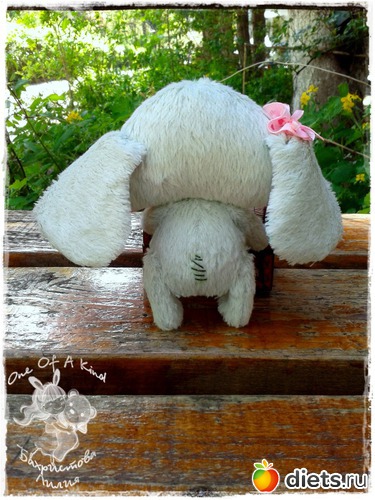 11 ����: ��� ���������